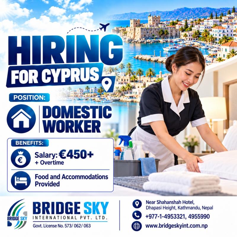 Article Image of job Domestic Worker