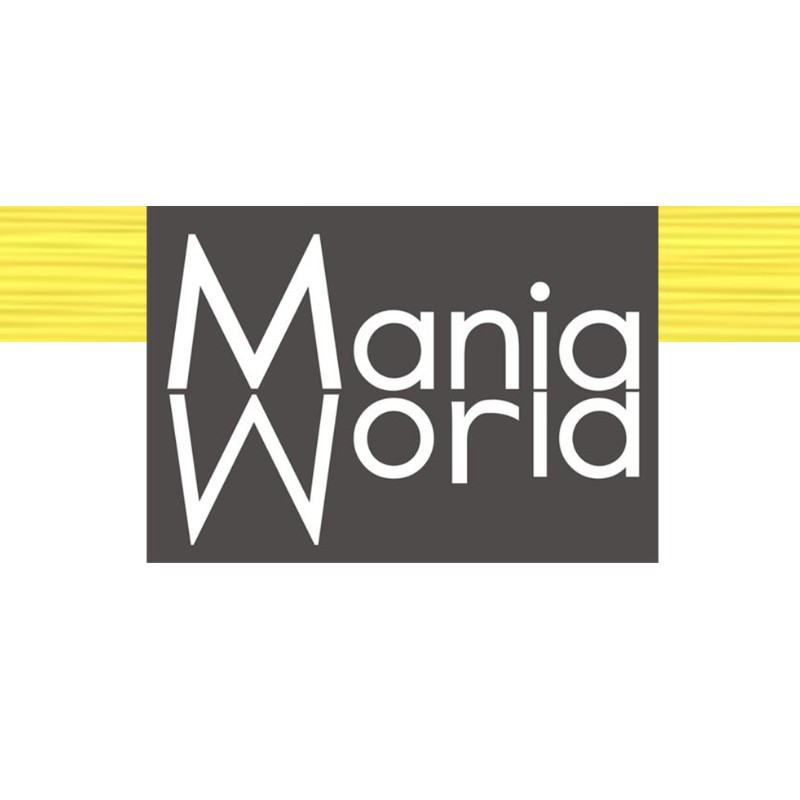 MANIA WORLD SERVICES PVT.LTD