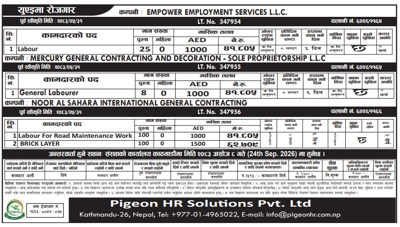 Article Image of job 3 Company Jobs demand in UAE