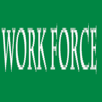 Work Force Services Pvt. Ltd.